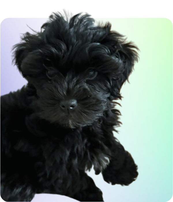 Team-Lenny (600 x 700 px)